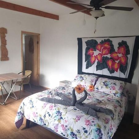 Hostal Henua Roa 2 Apartment อังกาโรอา ภายนอก รูปภาพ