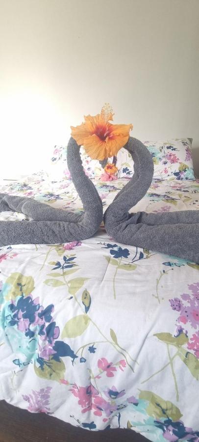 Hostal Henua Roa 2 Apartment อังกาโรอา ภายนอก รูปภาพ