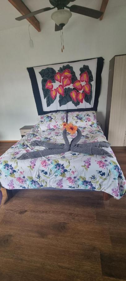 Hostal Henua Roa 2 Apartment อังกาโรอา ภายนอก รูปภาพ